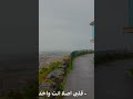 كل دا ومش عايز قلبي بدون موسيقى تامر عاشور تصميم فيديوهات  