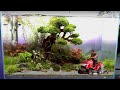 ON A MIS UN BONSAI SOUS L'EAU ?! - TOOPET