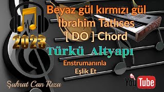 Beyaz Gül Kırmızı Gül  Türkü Altyapısı - DO - Chord Resimi