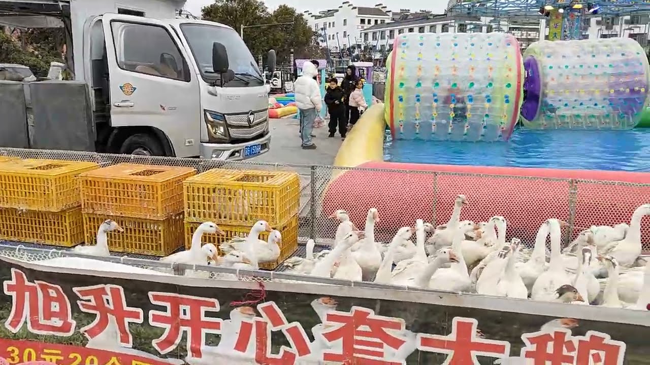 中国　江蘇省　農村　春節　正月　お祭り　移動遊園地　伝統文化　伝統行事　年中文化　子供　遊び　憩い　楽しみ　メリーゴーランド　ジェットコースター　回転ブランコ　輪投げ　ガチョウ輪投げ　懸賞