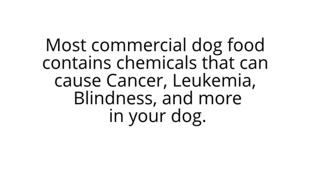 Confidential Dog Food Report YouTube