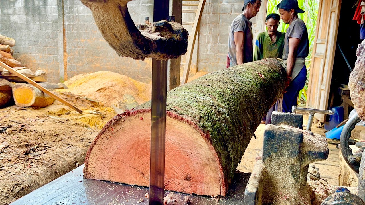 Repentance,,!! Sawmill Operator Almost Overwhelmed When Sawing Large Bayur Wood