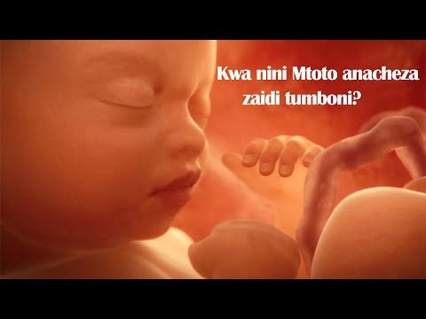 Video: Je! Matumizi Ya Kucheza Tumbo Ni Nini