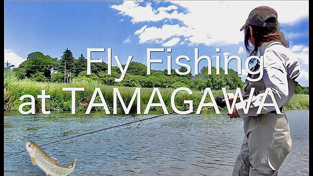 フライフィッシング トピックス チェコニンフの釣り方 Fly Fishing Japan YouTube