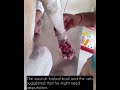 Booster- Healed and released back