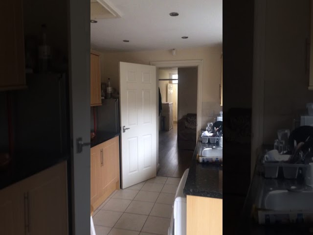 Video 1: Front view