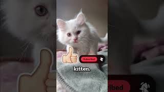 This Girl Made The Best Idea