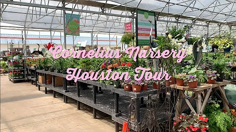 Plant shop with me! | Cornelius Nursery Tour Houston