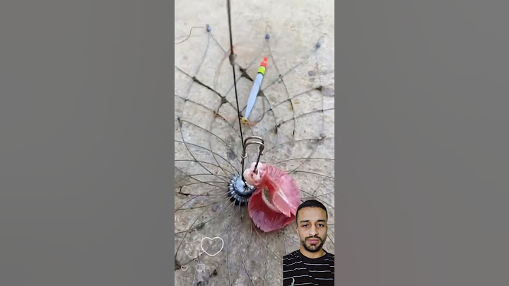 اسهل طريقة لصيد السمك بسرعه 🎣🐟 #صيد_السمك #سمك #صيد #اسرار_في_كتاب