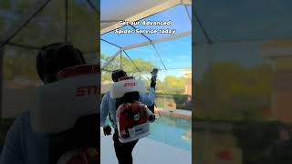 Spider Free Pool Cage