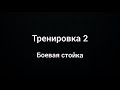 Тренировка №2 Боевая стойка