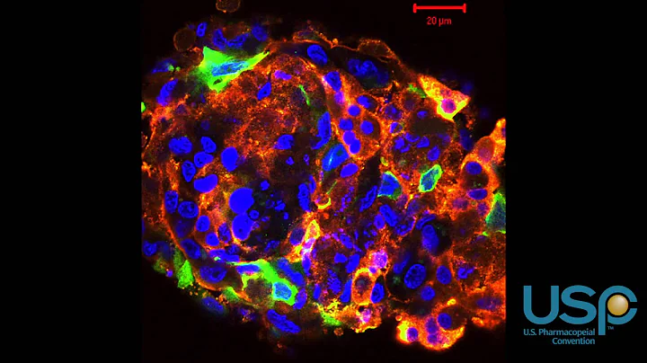 USP Workshop on Cell- & Tissue-based Regenerative ...
