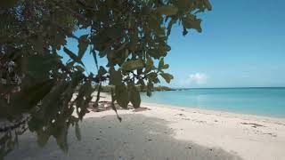 Let yourself be transported by the beauty of these tropical beaches 1080p HD