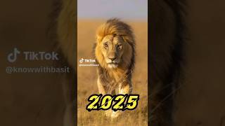 2025 Lion And 5000 bce now #animals #edit #viralshorts