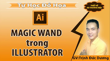 Magic Wand Tool Trong Illustrator   Sử dụng Công Cụ Magic Wand Tool