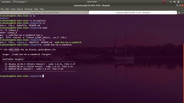 Sudo CVE-2021-3156 Exploit | Tryhackme | Implementation of Sudo Exploit