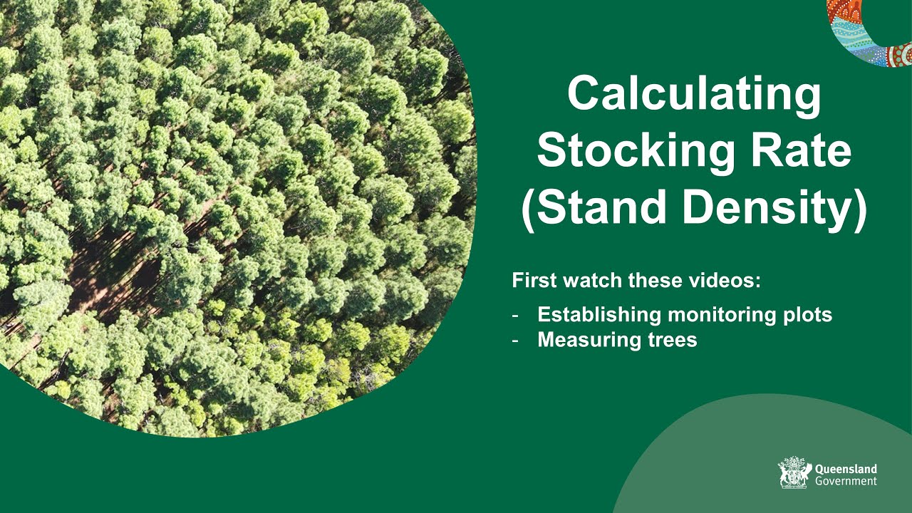 calculating-stocking-rate-youtube