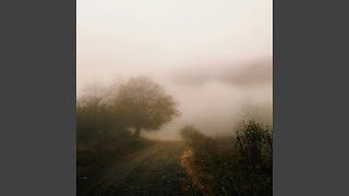 Paths Through the Meadow