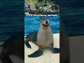 Animal Reaction After Getting Caught in 4K Will End You 😂📸