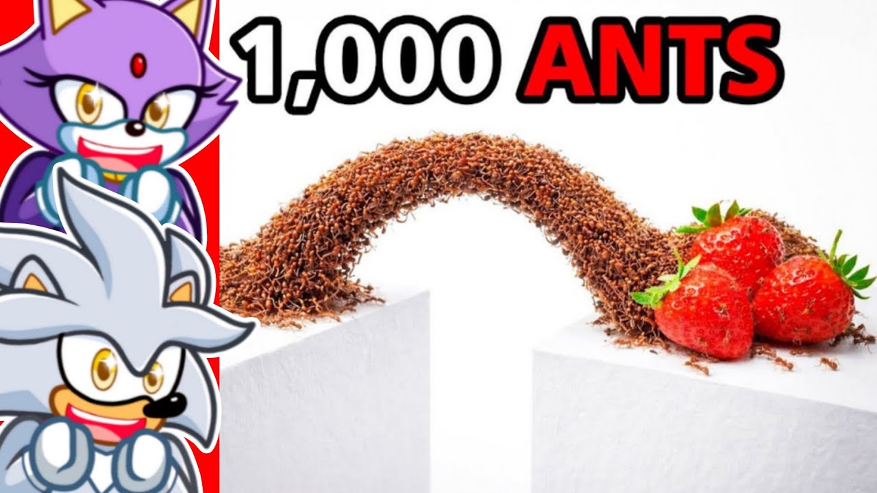 Ants vs Obstacles