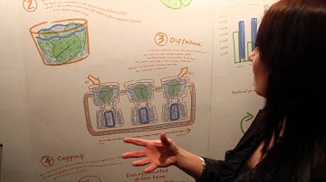 Swiss Water Decaffeinated Coffee Co explaining decaffeination process