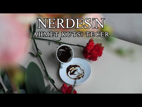 Nerdesin | Ahmet Kutsi Tecer