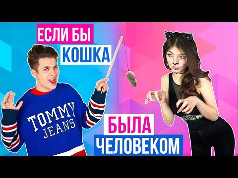 ЕСЛИ БЫ КОШКА БЫЛА ЧЕЛОВЕКОМ 2