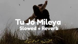Tu Jo Mileya (Slowed + Reverb) Juss × MixSingh | New Romantic  Song | Lofi Song Official 