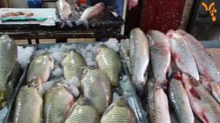 جولة للمربد في سوق بيع الأسماك بالبصرة القديمة