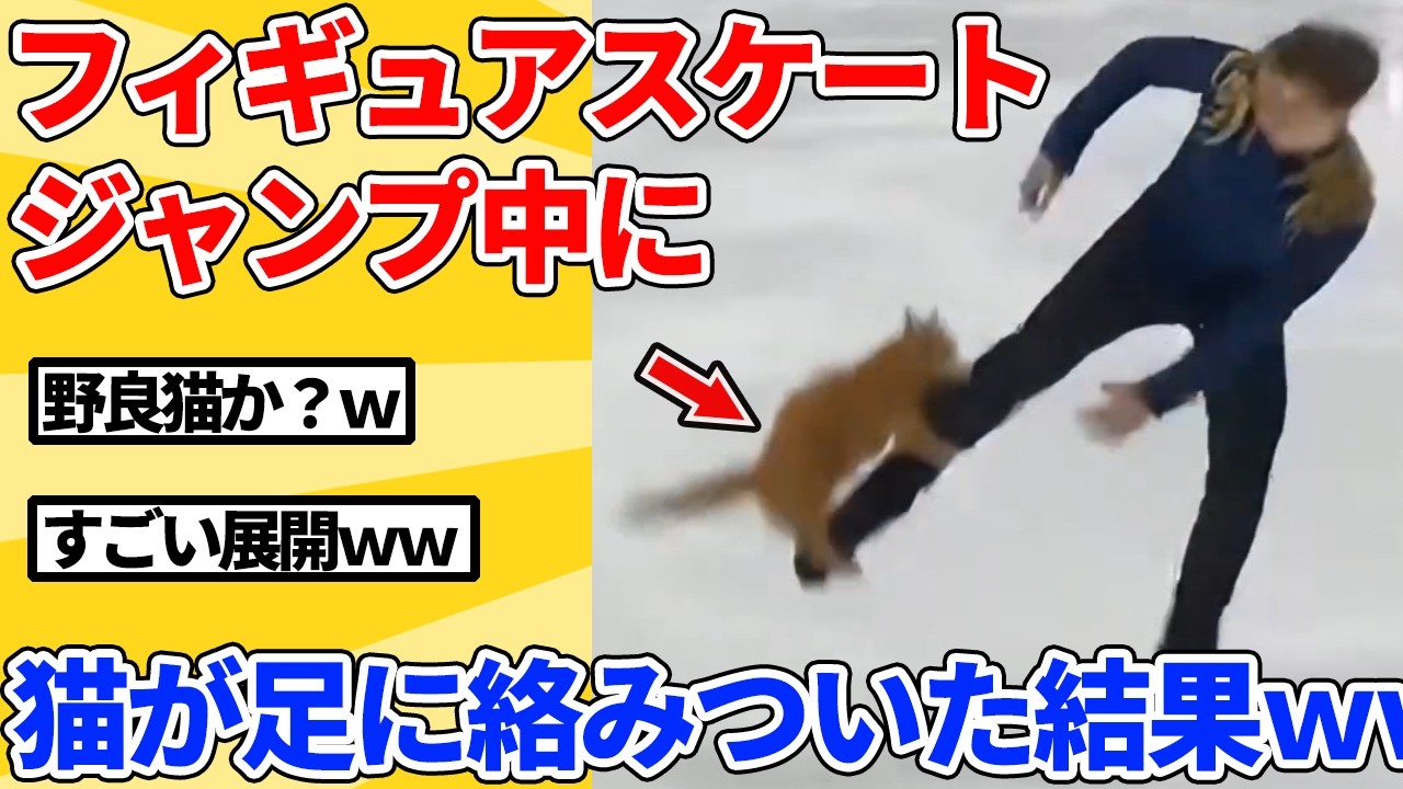【2ch動物スレ】フィギュアスケート会場に侵入した猫→ジャンプ中の選手の足に絡みついた結果ｗｗｗｗｗ