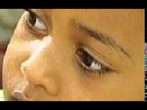 محمد جبارة بحر المودة