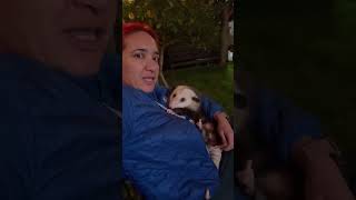 Loving Lady Cuddling With an Adorable Opossum