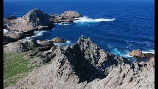 Get a rare view of the farallon islands' craggy peaks and rocky
shorelines scan islands for marine mammals birds. our high-definition
webcam is n...