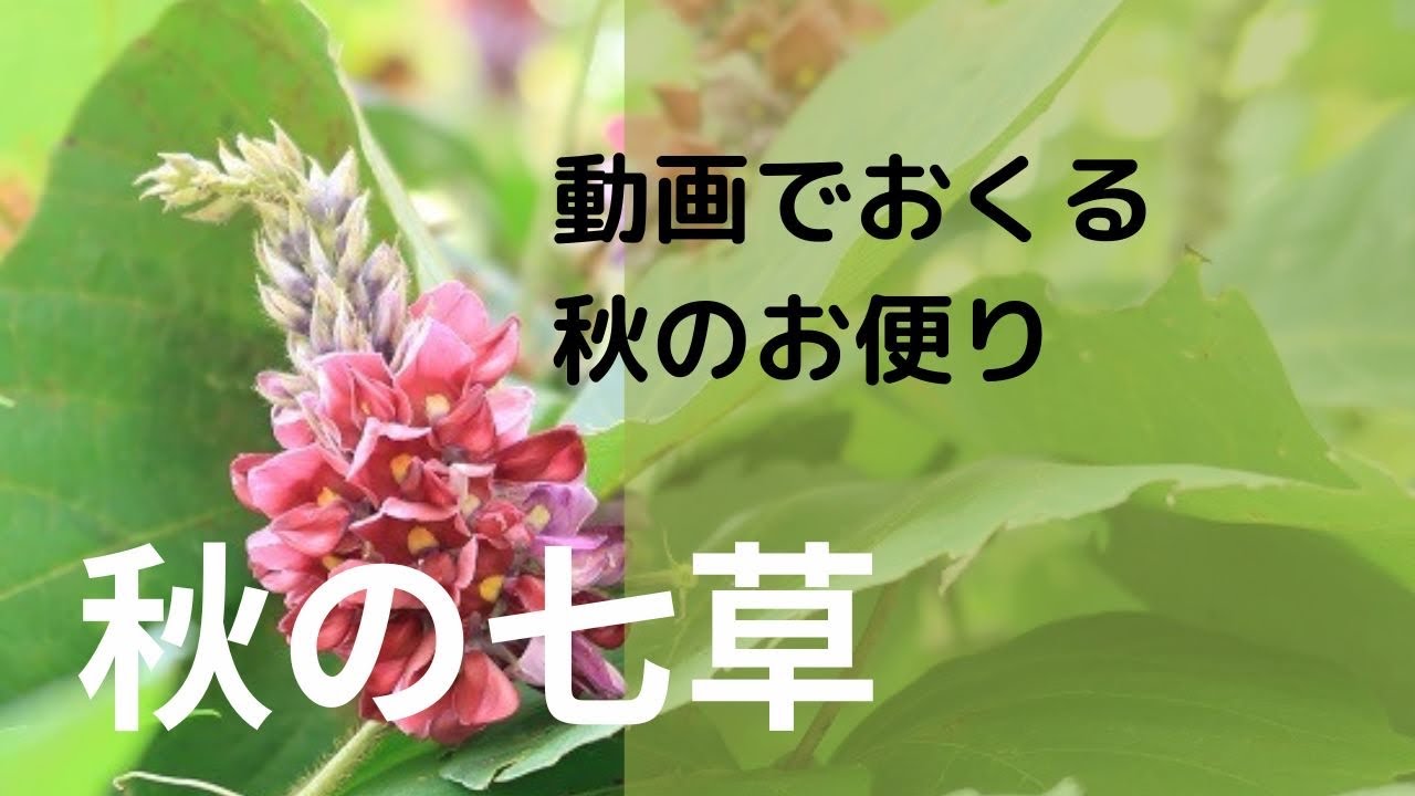 秋のグリーティングカード 秋の七草 ラインで送る Youtube 秋のグリーティングカード 秋の七草 ラインで送る Youtube