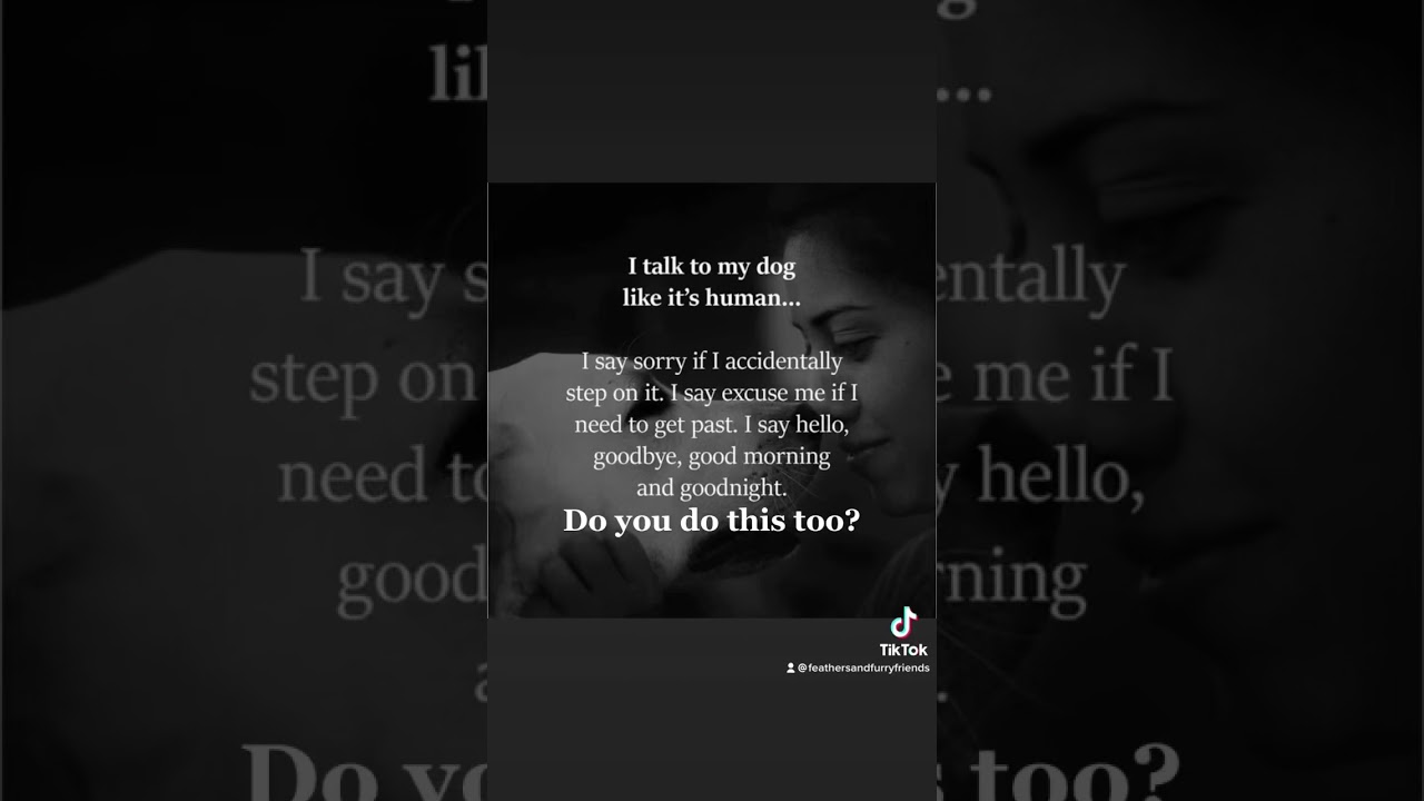 Pets are family members 🥰🤩 www.FeathersandFurryFriends.com 