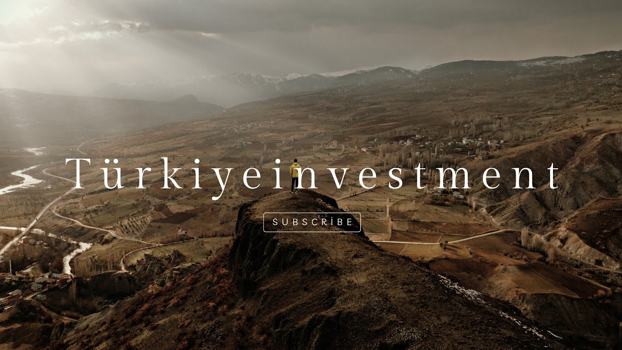 Understanding Plant Lifecycle | From Germination to Flowering & Fruiting