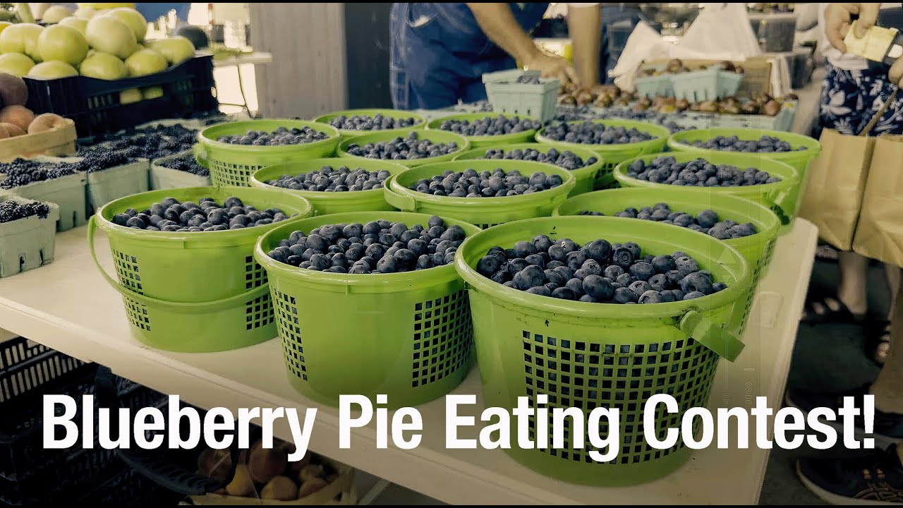 Blueberry Pie Eating Contest