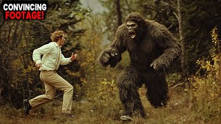 Top 10 Most Convincing Bigfoot Sightings Ever Recorded Update