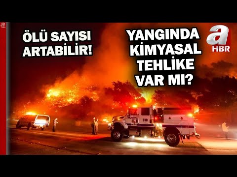Can kaybı 25'e
