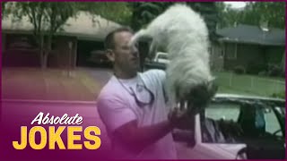PET FAILS & HILARIOUS MOMENTS: CAN THIS DOG REALLY PERFORM AN INCREDIBLE PAW-STAND?