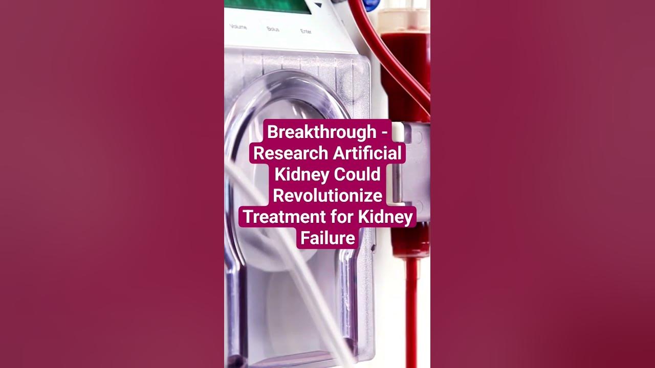 breakthrough-research-artificial-kidney-could-revolutionize-treatment