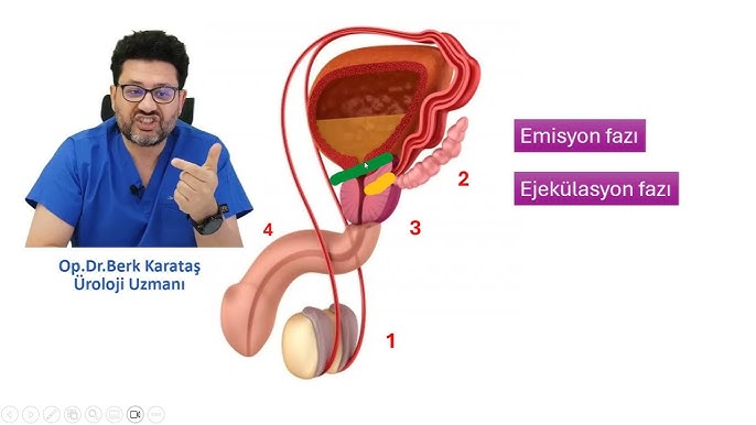 Porno reklama elonlari