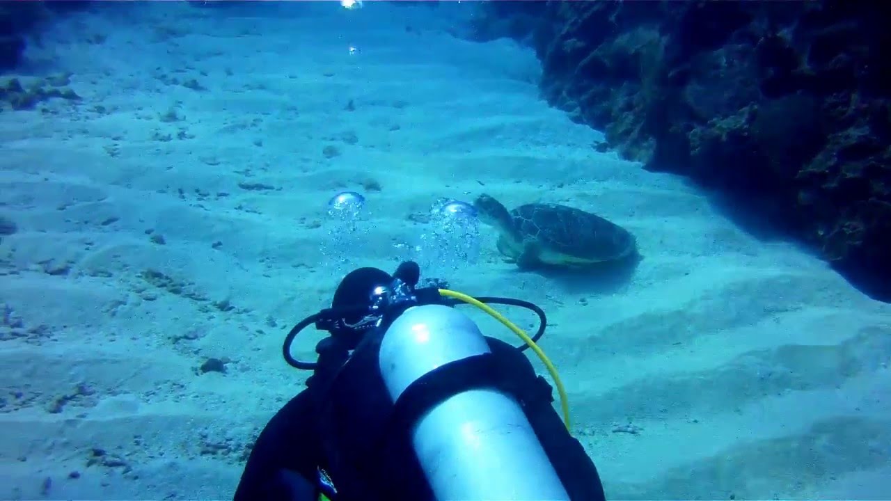 Scuba Diving Roatan Honduras 2016 YouTube