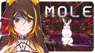 This Is The Weirdest Horror Game Ive Ever Played...