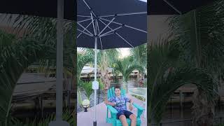 Bluu Automatic Market Umbrella