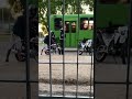 La Poli 🚓 trabajando?! 😏