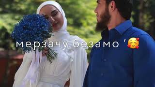 Ислам Актулаев - Дагна езнарг / асам хьо сай са санна езаш (текст) Чеченские песни Атмосфера души