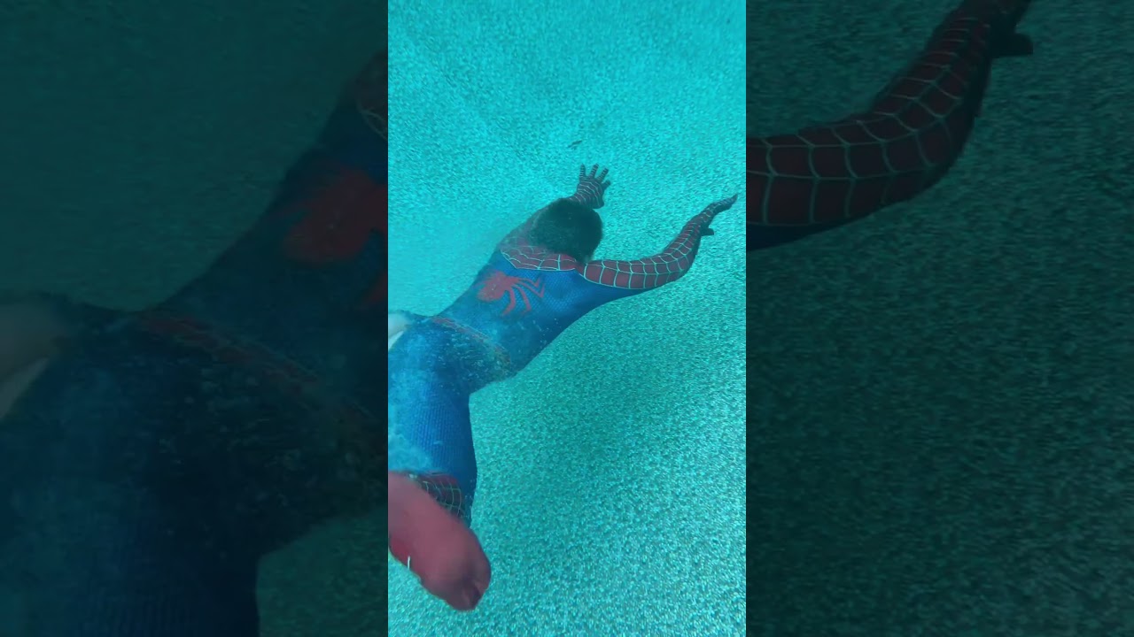Huge spider under water