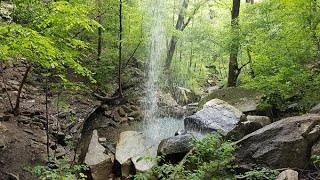 Hike to Steele Falls in the Ozarks