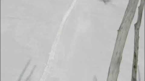 Snowmobile Crashing Into Tree Fail Polaris Fusion Vintage Clip